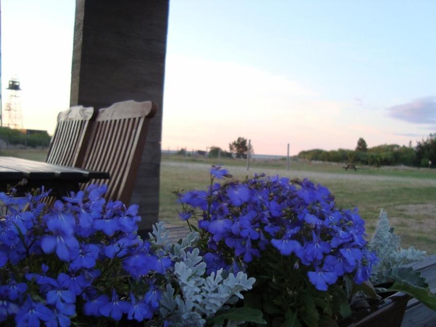Pavilosta Marina Zimmer foto